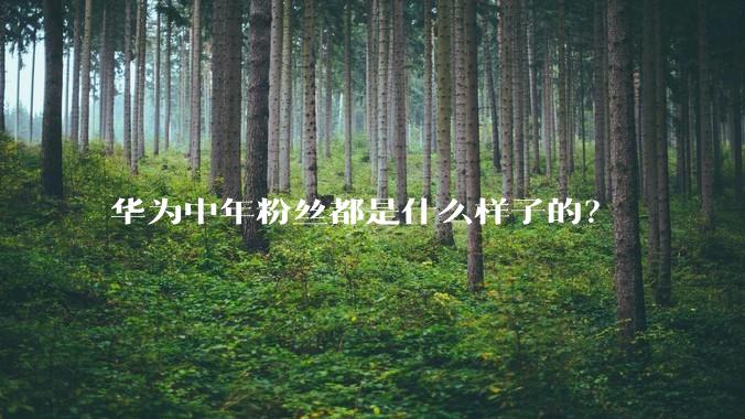 华为中年粉丝都是什么样子的？