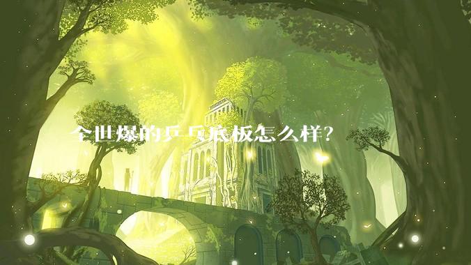 全世爆的乒乓底板怎么样？
