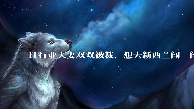 IT行业夫妻双双被裁，想去新西兰闯一闯可以吗？