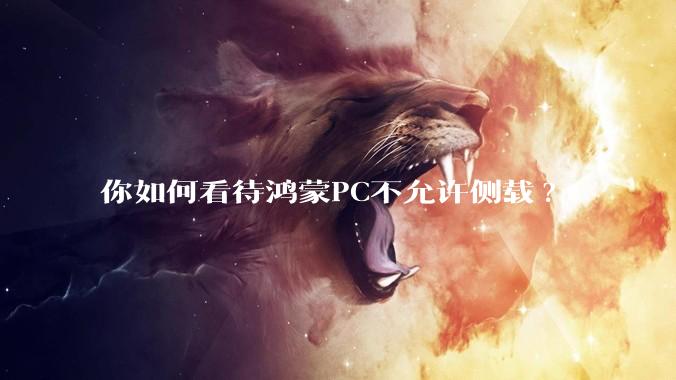 你如何看待鸿蒙PC不允许侧载?