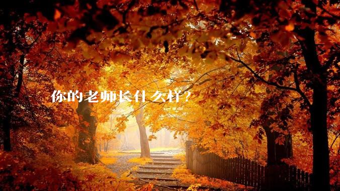 你的老师长什么样？
